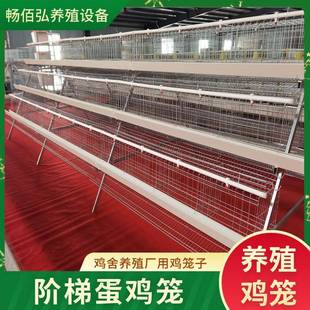 蛋鸡笼镀锌养殖笼支持定制 厂家供应蛋鸡养殖笼立体多层阶梯式