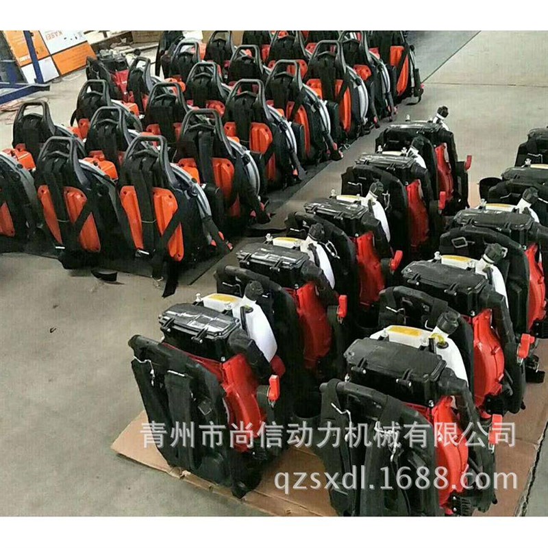 汽林油吹雪机四冲程背负灭XvVQ式路养护道森防护火辅助脱水吹风机