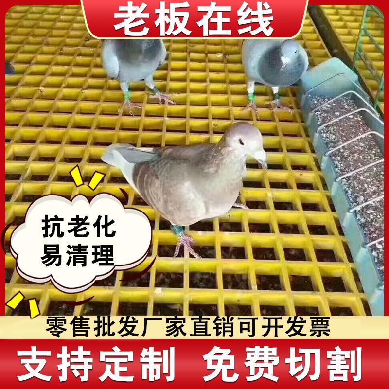 玻璃钢格栅鸽舍地网小孔网格板漏粪养殖排水沟格栅光伏走道板