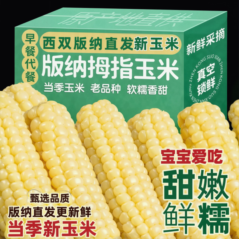 西双版纳拇指小玉米傣家香糯珍珠迷你真空小手指玉米辅食粗粮香甜