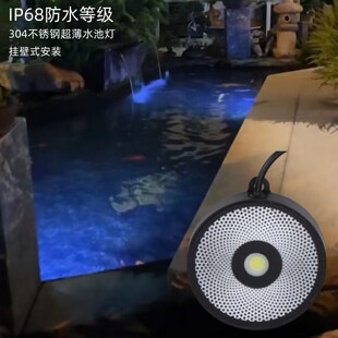 鱼池灯锦鲤鱼池水下灯水池景观灯冰蓝光池壁灯鱼池造景低压灯