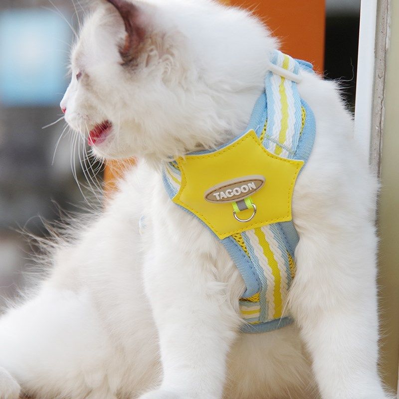 夏季猫咪牵引绳防挣脱外出专用背心式溜猫绳子胸背带可调节遛猫绳,宠物/宠物食品及用品,猫牵引绳,淘宝优惠券,粉丝福利购,淘宝优惠卷