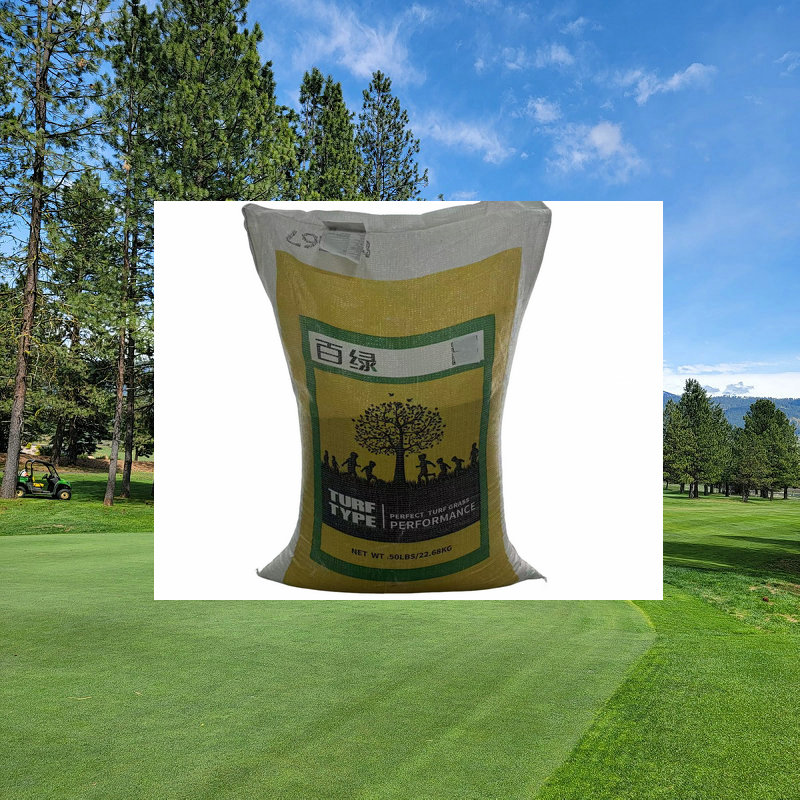 蓝标零零级美国草坪种子墨玉多年生黑麦草种子原装进口22.68KG