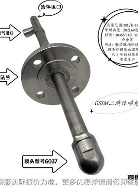 二流体雾化喷枪GSIM微雾喷头双流体喷嘴冷却废液60°20度316L厂家