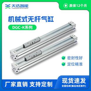 无杆气缸DGP PPV 2000 100 K25 DGC 托FESTO机械式 费斯托