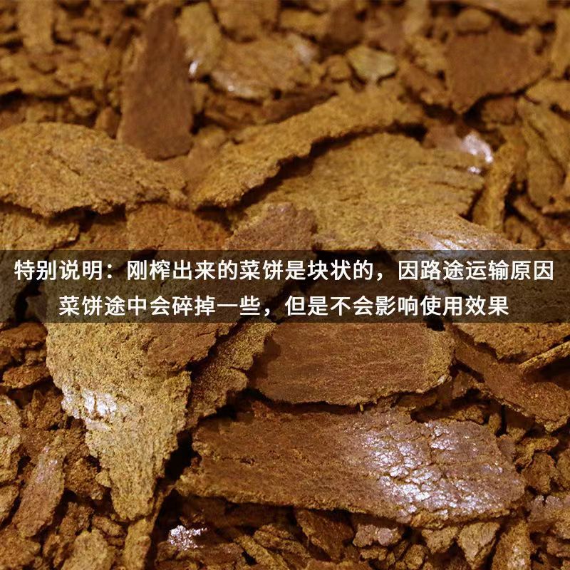 农家现榨菜籽饼肥料油饼肥料菜枯有机肥营养肥钓鱼打窝饲料优质