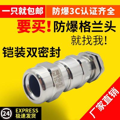 不锈钢防爆铠装格兰头电缆夹紧G接头双密封金属填料函内外螺纹m20