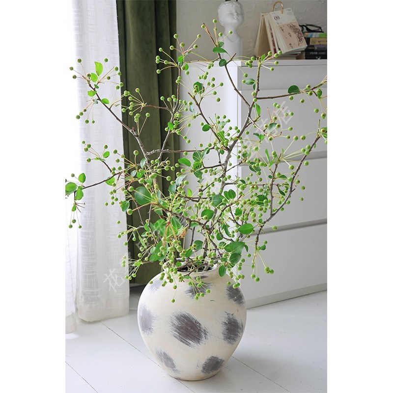 【真的新鲜果子】棠梨果鲜切枝海棠果子观赏花材家用水养插花期长