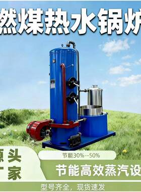 酒店洗浴热水供给办公楼采暖奶制品加工烘干燃煤常压热水锅炉