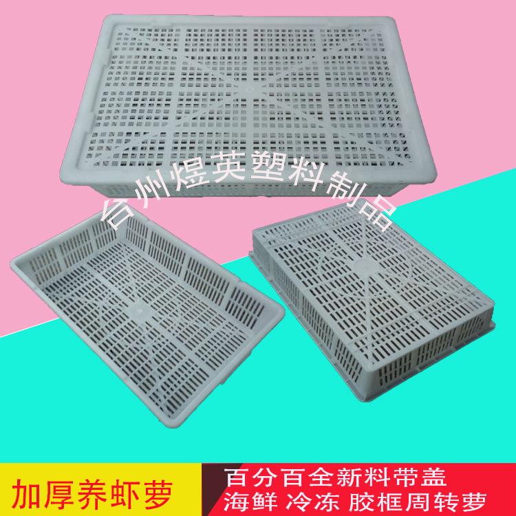 直供各种规格海鲜冷冻周转筐塑胶框鱼筐豆腐筐加厚全新料塑料筐
