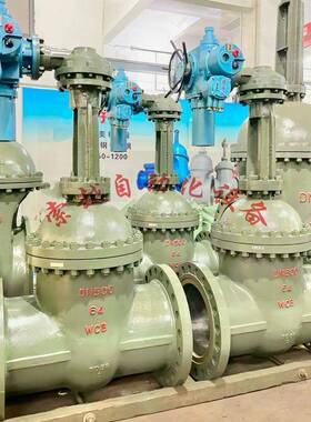 MZ941H-64DN250一体式隔爆型矿用电动闸阀铸钢材质电压1140V