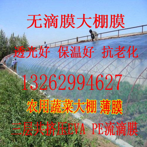 塑料薄膜大棚膜加厚透明无滴膜 农用温室养殖保温布流滴膜