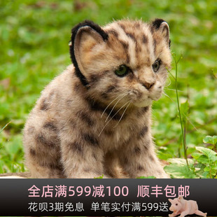 HANSA可爱小石虎玩偶公t仔7739老虎玩偶男孩女孩礼物手工毛绒玩具