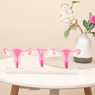女性一探究竟子宫变迁模型指尖密境青春悄逝月子会所摆件沙龙布置