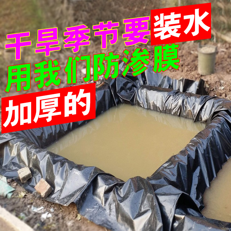 塑料布防水布鱼池塑料膜加厚薄膜农用鱼塘防渗膜土工膜防水膜