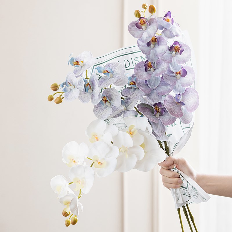 收获小屋仿真花蝴蝶兰手感保湿客厅插花摆件假花餐桌摆设干花