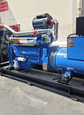 柴油发电机组WF250W200w柴油发电机原厂直发静音大功率