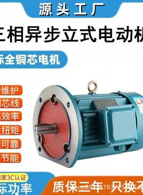 立式电动机380V法兰盘1.1/1.5/2.2/3/4/5.5/11W三相铜芯交流马达