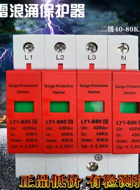 雷太电涌悦浪涌保护器LY1-B80/4P20KA40KA60KA避雷一级防雷器50KA