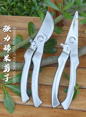 sk5全钢修枝剪不锈钢剪枝修剪树枝果树盆景花卉园艺摘果专用剪刀