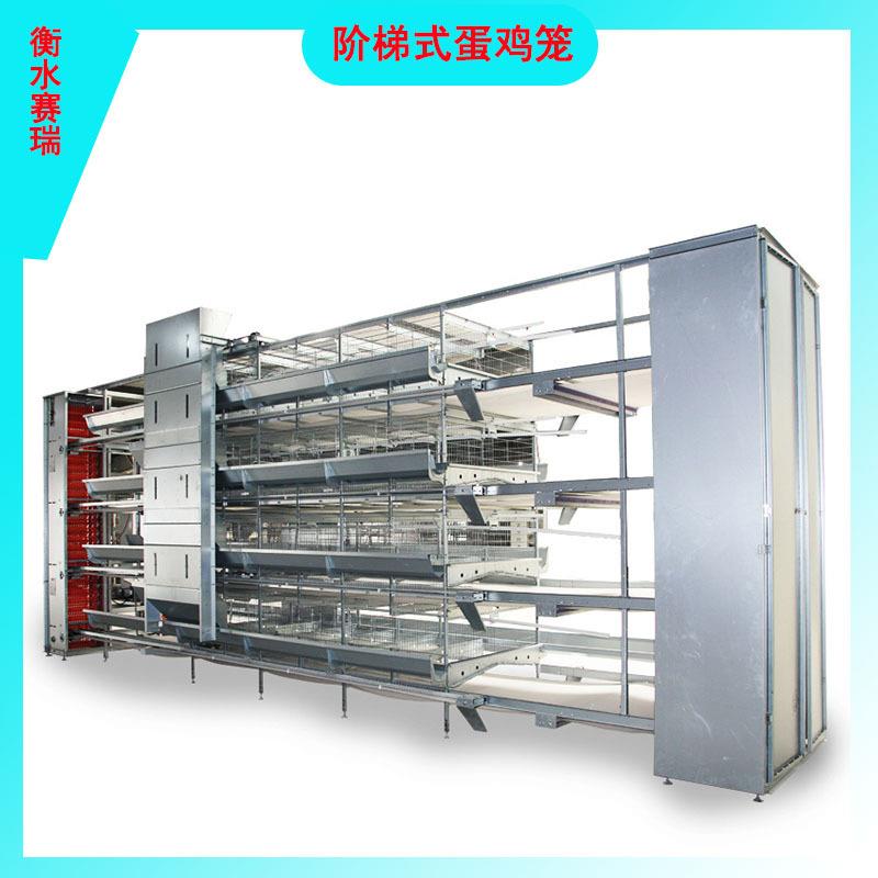 阶梯式鸡笼多层鸡笼蛋鸡笼自动蛋鸡笼