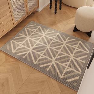 北欧入门户台阶地点垫搬家用进门脚垫新居大门口耐脏玄关圈绒地毯