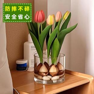 郁金香种球专用水培器皿亚克力塑料防摔宽口大口径矮款花瓶花盆