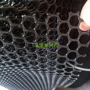 阳台护栏防护网防掉落窗户网格塑料防坠网猫咪养殖养鸡安全网