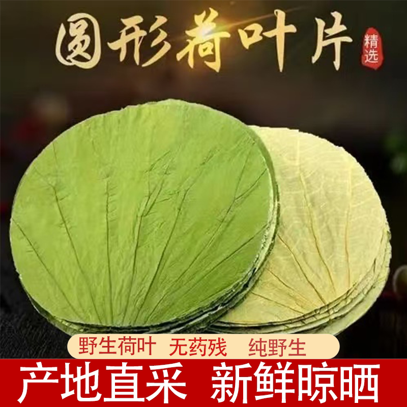 微山湖荷叶圆形纯天然产地直采糯米鸡荷叶饭木桶饭荷叶新鲜晾晒