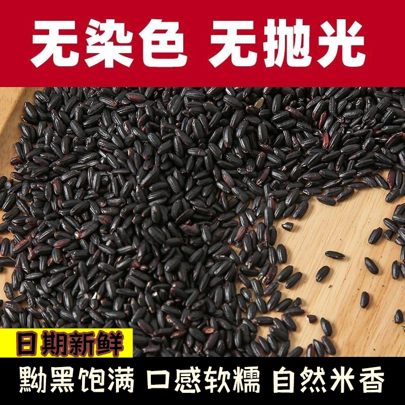 当季新黑米东北农家新黑米无染色黑大米健康粗粮软糯丝滑五谷杂粮