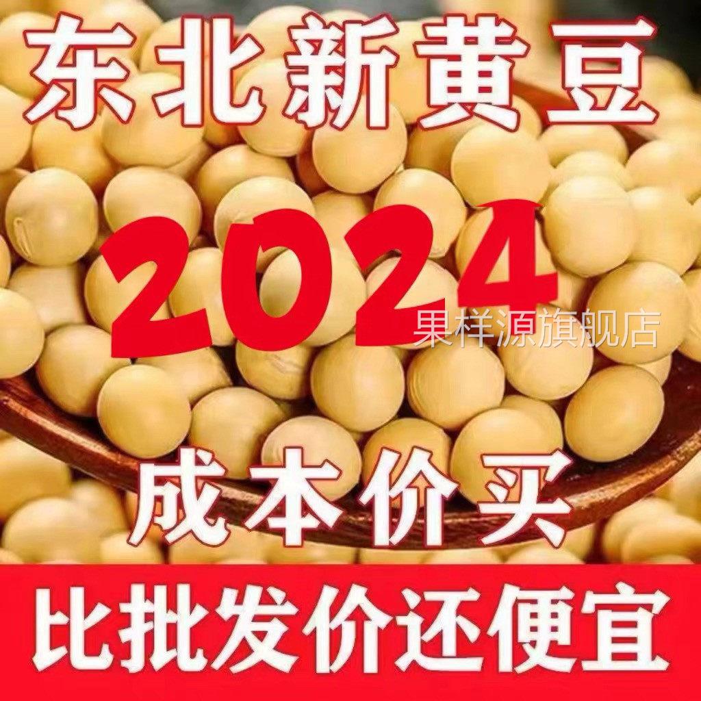 24年东北能发豆芽的黄豆散装发黄豆芽专用豆黑龙江生豆牙小黄豆