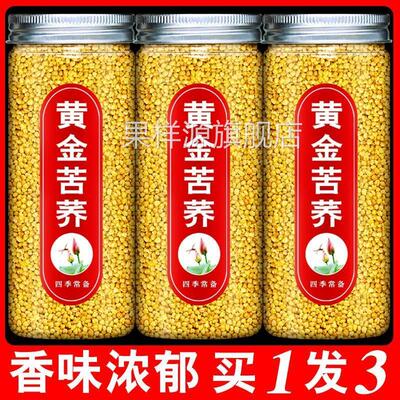 黄苦荞茶正品官方旗舰店四川大凉山麦香型金荞麦茶特产级罐装