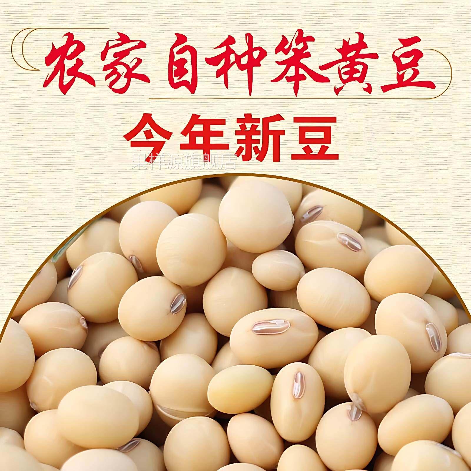 东北非基因改造新黄豆2025年今年的农家自种打豆浆专用有机黄旗舰