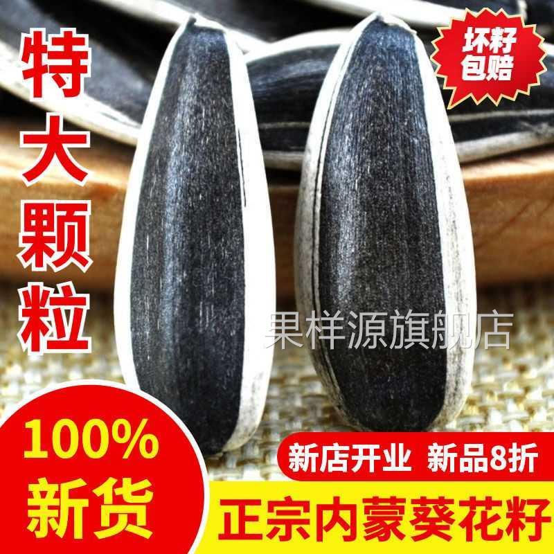 内蒙葵花籽特级新货生瓜子大粒薄皮食用向日葵原味炒熟葵瓜子