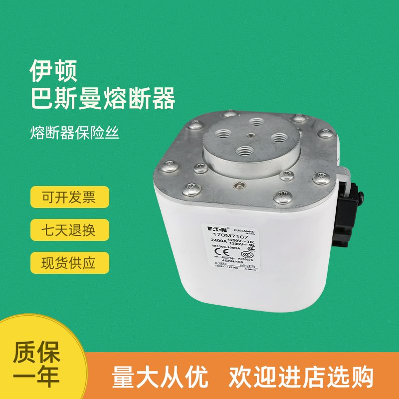快速熔断器保险170M7106 170M7107 170M7115 170M7118