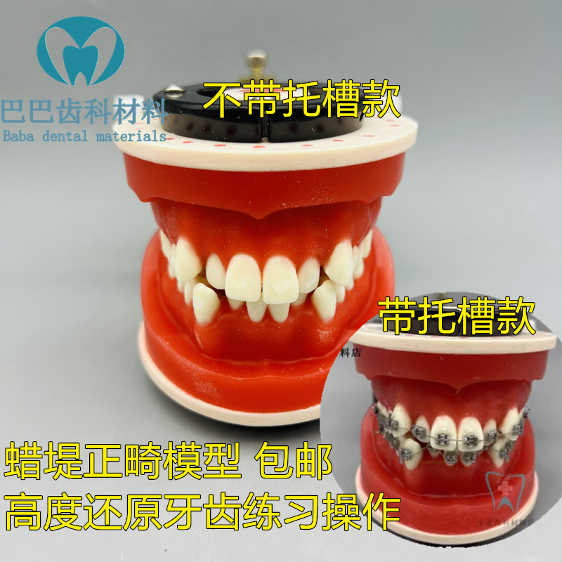 牙科正畸训练口腔红蜡堤