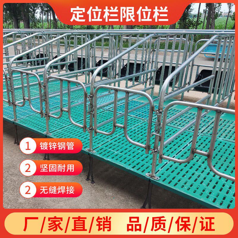 母猪地面猪用限位栏养猪场设备加厚地面围栏猪圈漏粪板设备