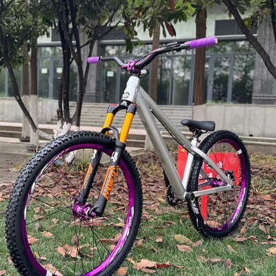 BOARSE博睿思 促销 气压前叉土坡单速组装整车登山车 26 硬尾超软