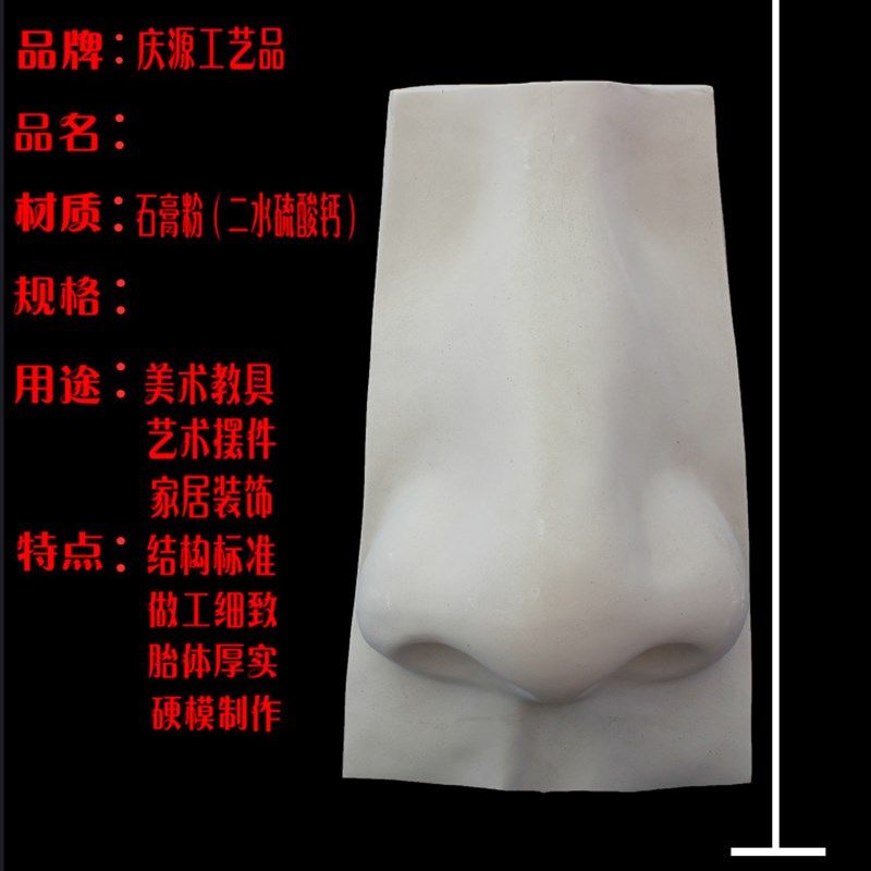 艺考石膏教具特大大五官园面石膏像石膏模型大五官实面