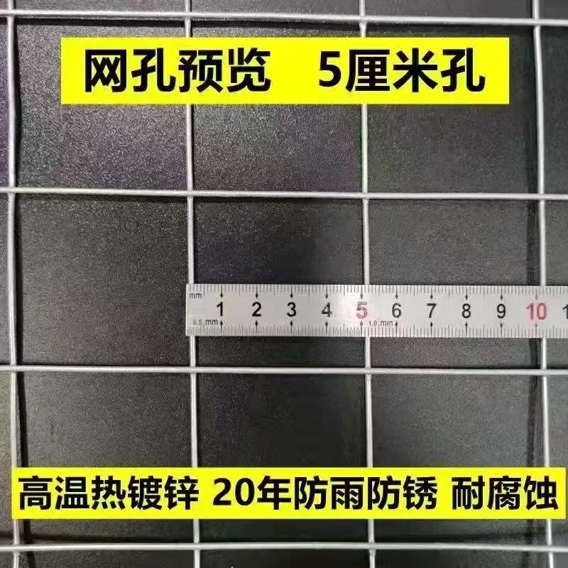 热镀锌防锈铁丝网镀锌钢丝围栏养殖G网拦鸡网建筑网防护铁网格网