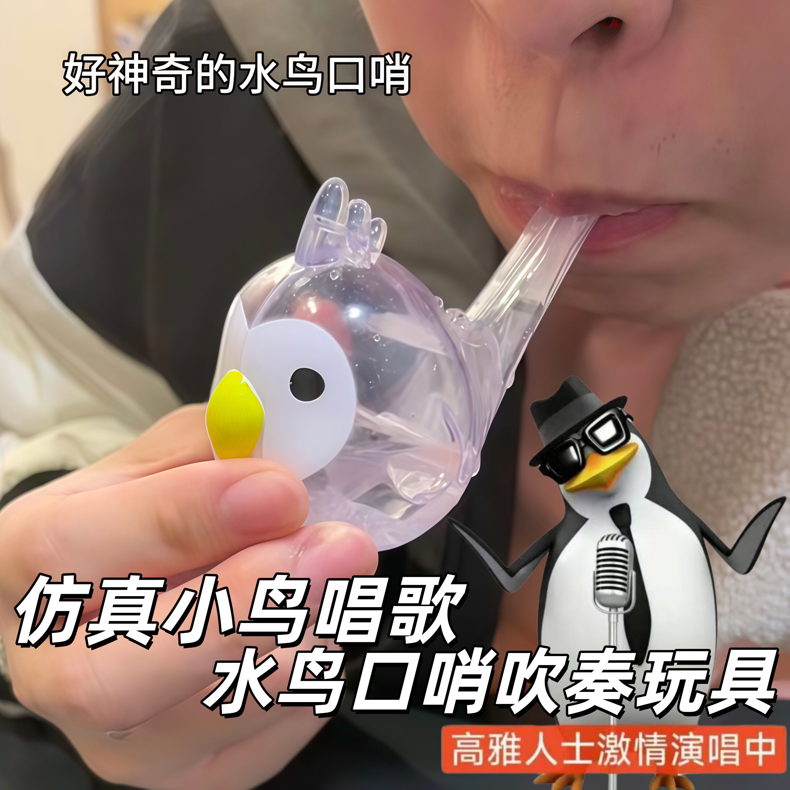 水鸟口哨仿真小鸟唱歌吹奏玩具可注水鸟叫发声训练哨子发音训练器