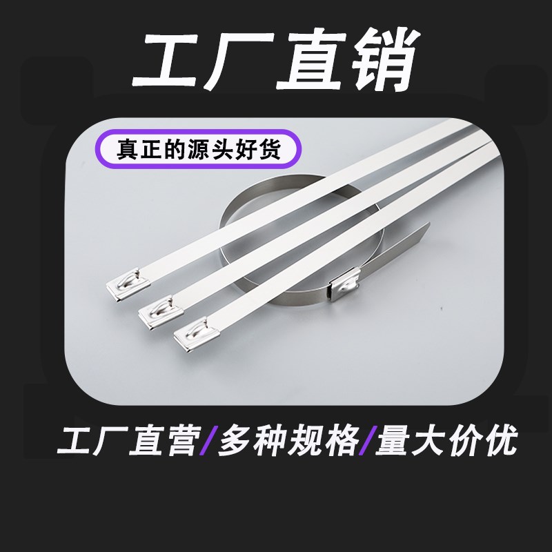 304不锈钢扎带束带自锁收紧器卡扣室外耐高温捆绑扎带强力固定器