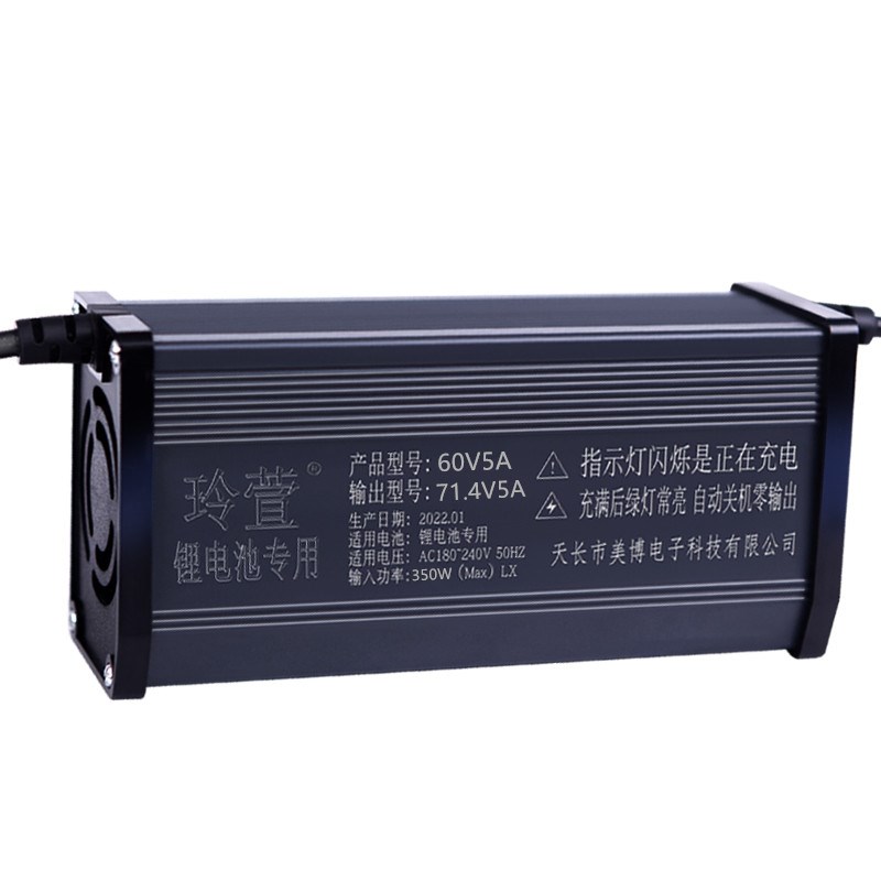 32串铁锂96V锂电池电动车充电器116D.8V5A8A10A大功率新能源快充