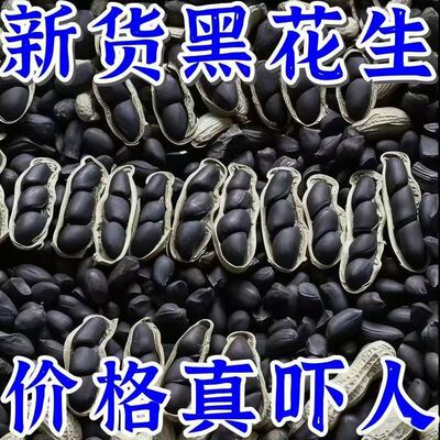 超实惠】云南正宗富硒生黑花生带壳生黑花生黑子花生养胃黑花生