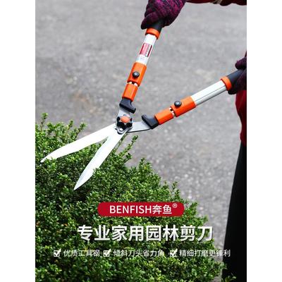 花剪园艺剪刀修剪树枝专用园林家用茶叶果树大枝剪草坪绿化修枝剪