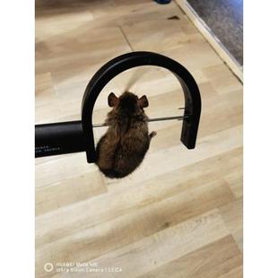 自动抓鼠灭鼠家用驱鼠老鼠夹陈鼠克星 智能红外线自动捕鼠器