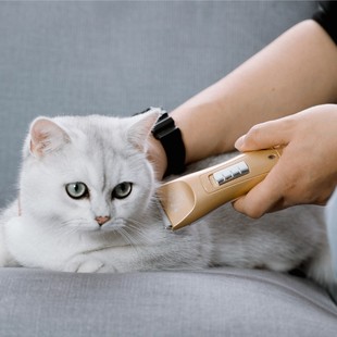 宝德龙宠物电推剪猫咪狗狗剃毛器专业泰迪理发器大功率狗毛电推子