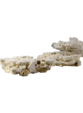 两只小鱼灵感造景石海缸培菌造景石免暴藻STAX自然造景石随意摆放