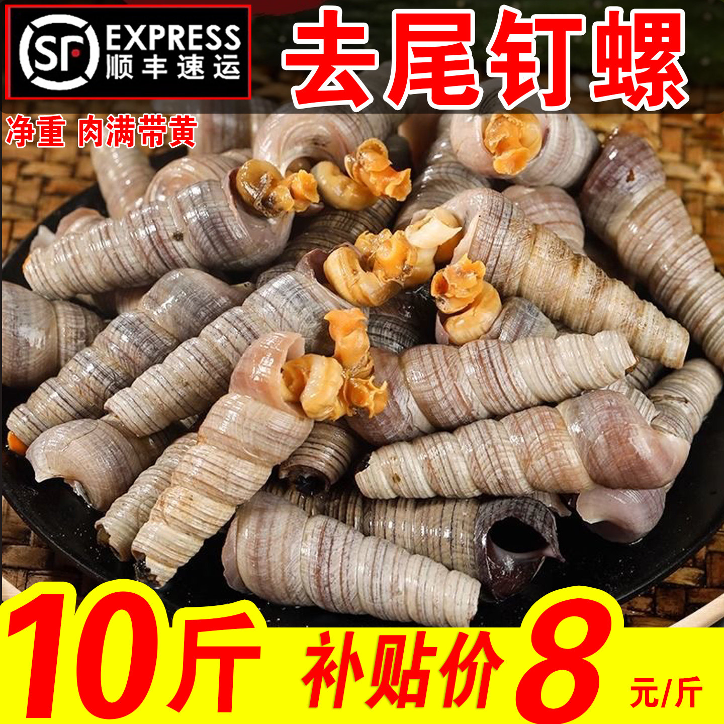 钉螺鲜活去尾大号锥螺新鲜海螺丝捞汁小海鲜麻辣贝类包邮商用