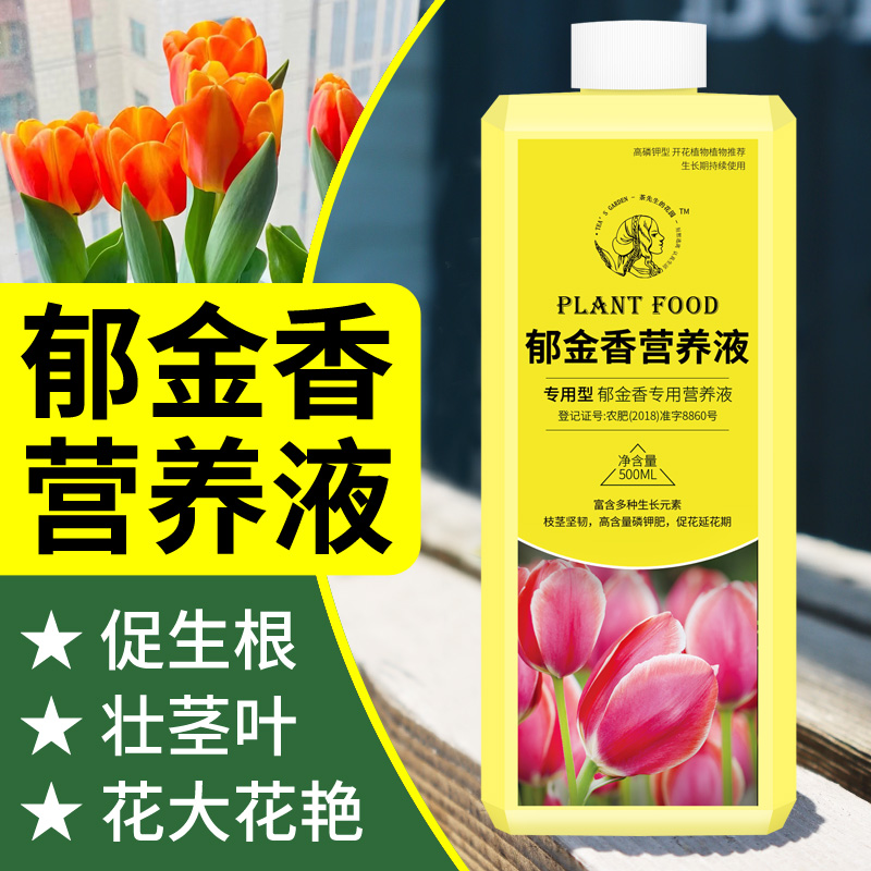 郁金香营养液水培肥料球根植物专用肥风信子朱顶红仙客来通用盆栽
